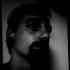 _Gurke_