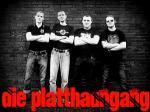 Die Platthaungang